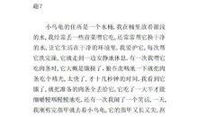 观察日记小乌龟