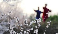 在温暖中流淌的一天