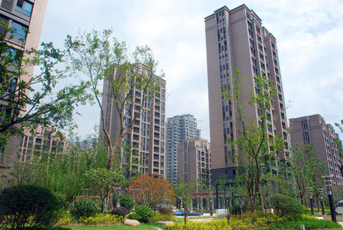 社区中的美丽