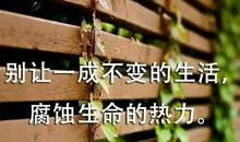 你是我生活中的阳光
