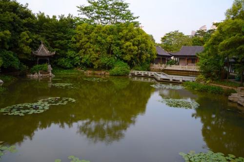 参观花园博览会