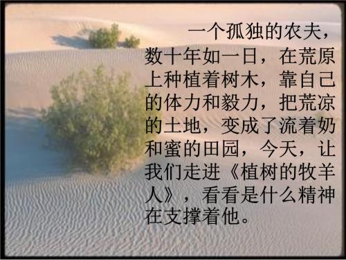 看完种树的牧羊人