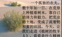 植树的牧羊人读后感