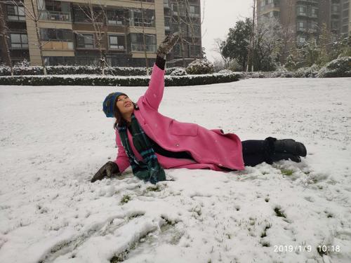 雪中​​的伴侣