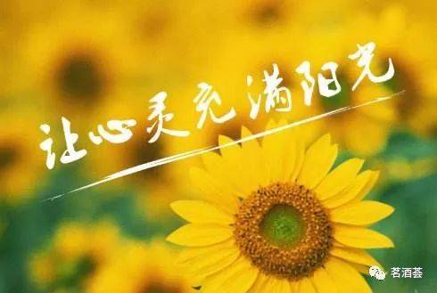 微笑使生活充满阳光