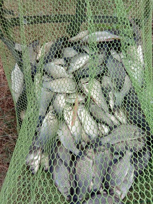 回顾2018，展望2019