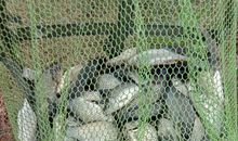 回顾2018，展望2019