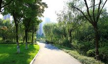 美丽的盐塘河公园