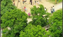 春游野生动物园