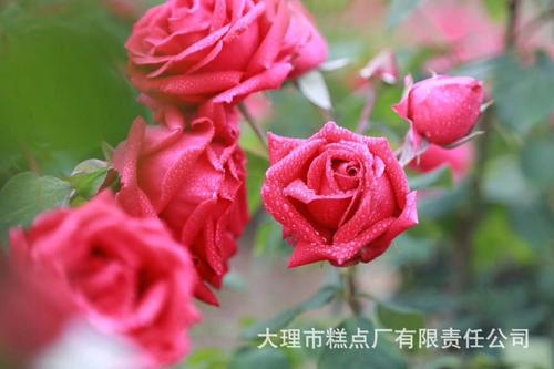 认识你很感激