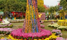 美丽的小榄菊花园