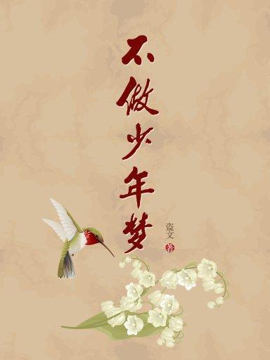 少年梦