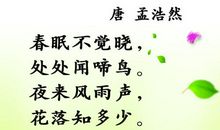 我的生活中有诗词相伴