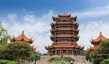 我爱我的家乡武汉