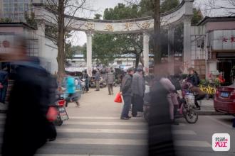 参观花鸟市场