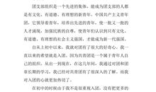 初中入团申请书300字范文