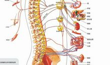 都是可乐惹的祸