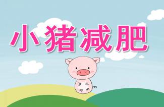 小猪减肥