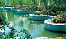 雨中的水景公园