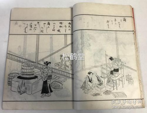 我讨厌养蚕