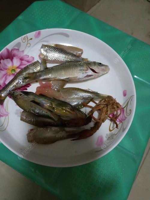 生活中无处不在的知识