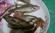 生活处处皆学问