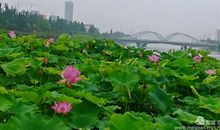 家乡二十年前后的变化