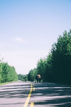 走自己的路