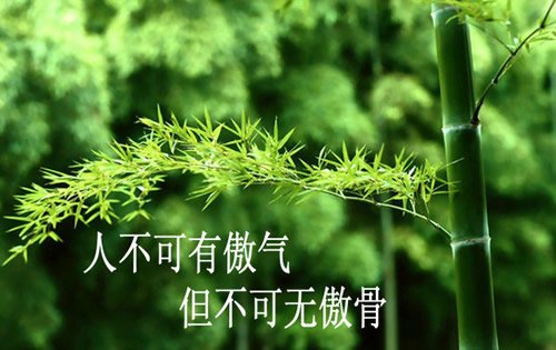 志向