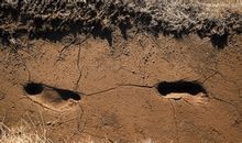 泥泞的脚印，是母爱的痕迹