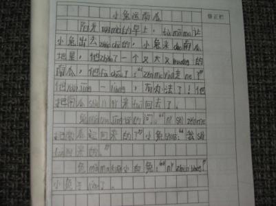 小兔子运南瓜