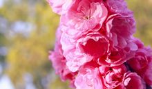 那一刻春暖花开