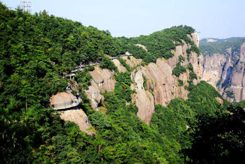 不要看他