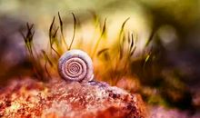 生命里那些淡淡的清香