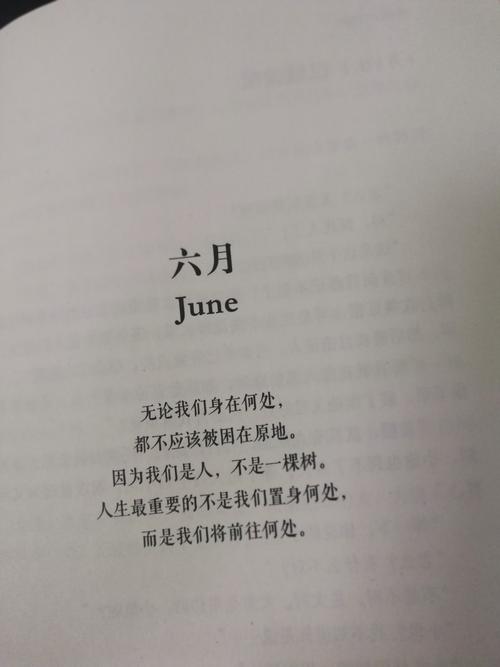 那天我很开心