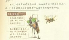 《酷虫学校》读后感