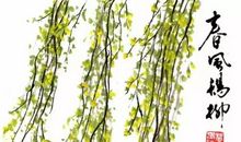 我最喜欢的柳树