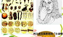 第一次使用显微镜