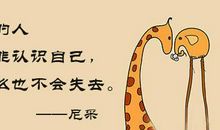 思维，决定高度