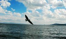 难以忘记的感动