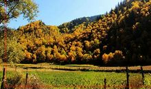 寻找家乡的秋天