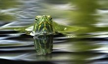 平凡也可以精彩