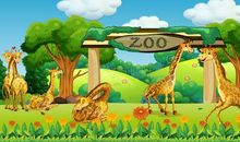 我的动物园家庭