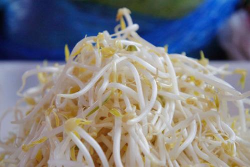 豆芽变态