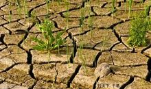 假如所有的小河都干涸了