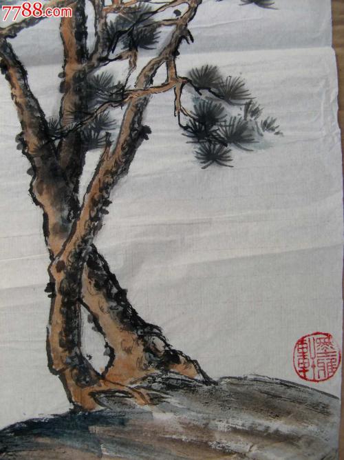 百年松树永远不会倒下