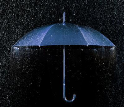 那把伞在风雨中