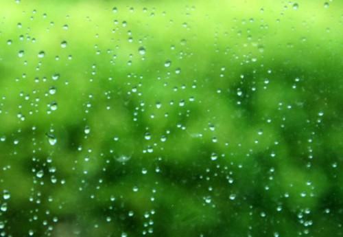 美丽的雨世界