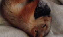 你是我心中的最深处