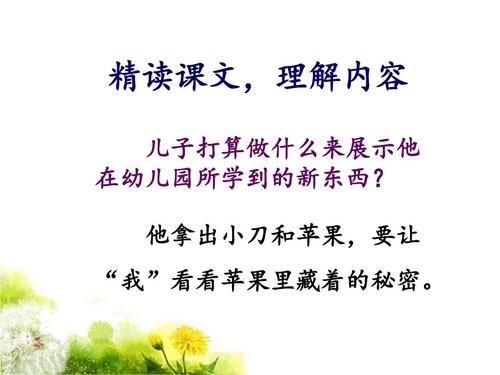 苹果中的星星